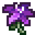 Thumbnail for version as of 11:11, 18 April 2024