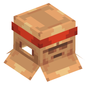 Cardboard Box (Undercover).png