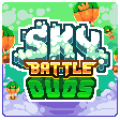 Sky Battle Duos