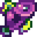 Coral Cod